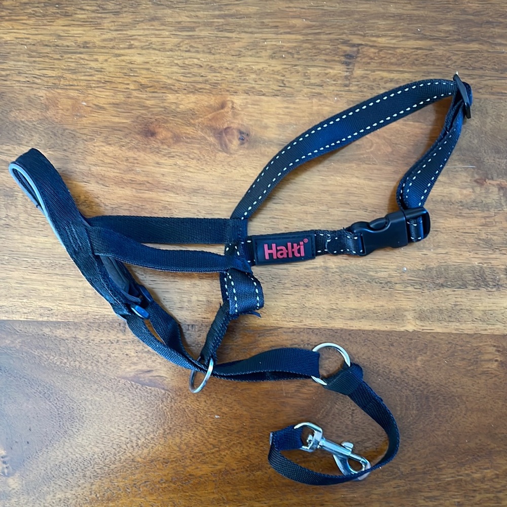 Black Headcollar for Dogs - Picture 3 of 7